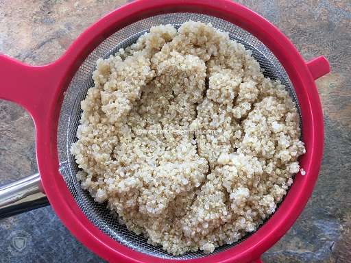 Cooked quinoa in a strainer with red border