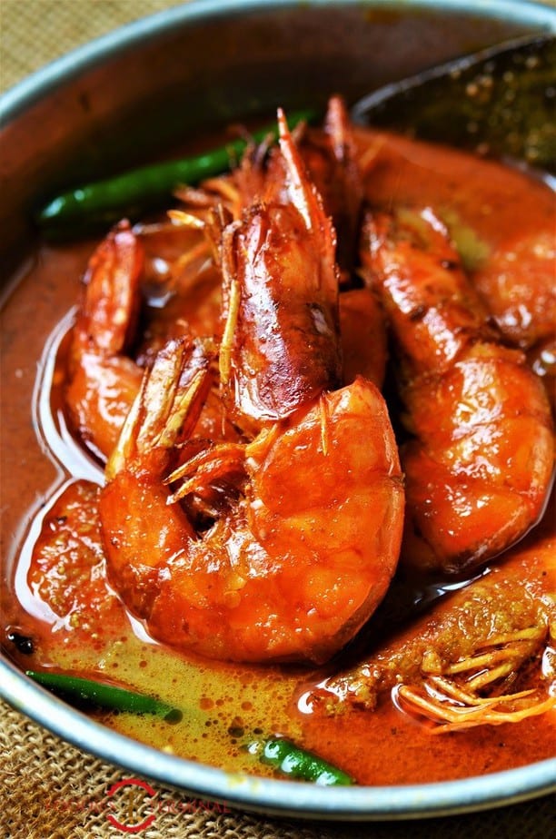 Chingri Macher malai curry featuring a huge tiger prawn in a red sauce with green chilies