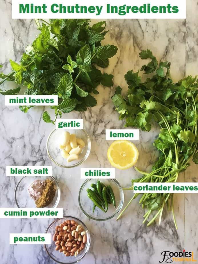 Mint chutney recipe ingredients in bowls 