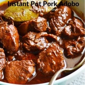 Instant Pot Pork Adobo Filipino style