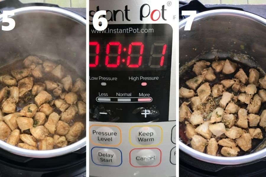 pressure cook chicken in instant pot step by step