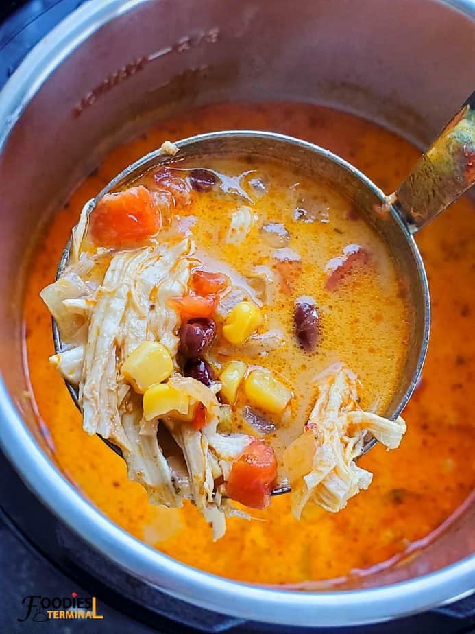 creamy chicken tortilla soup in a ladle from the instant pot