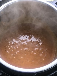simmering sauce in instant pot