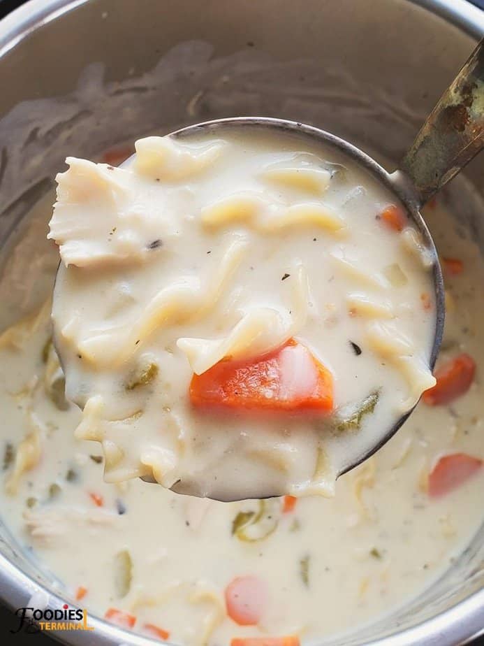 thick creamy chicken noodle soup instant pot in a ladle