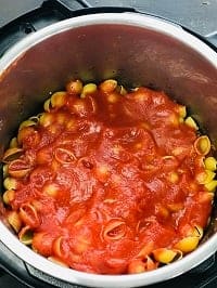 tomato sauce on top pf pasta