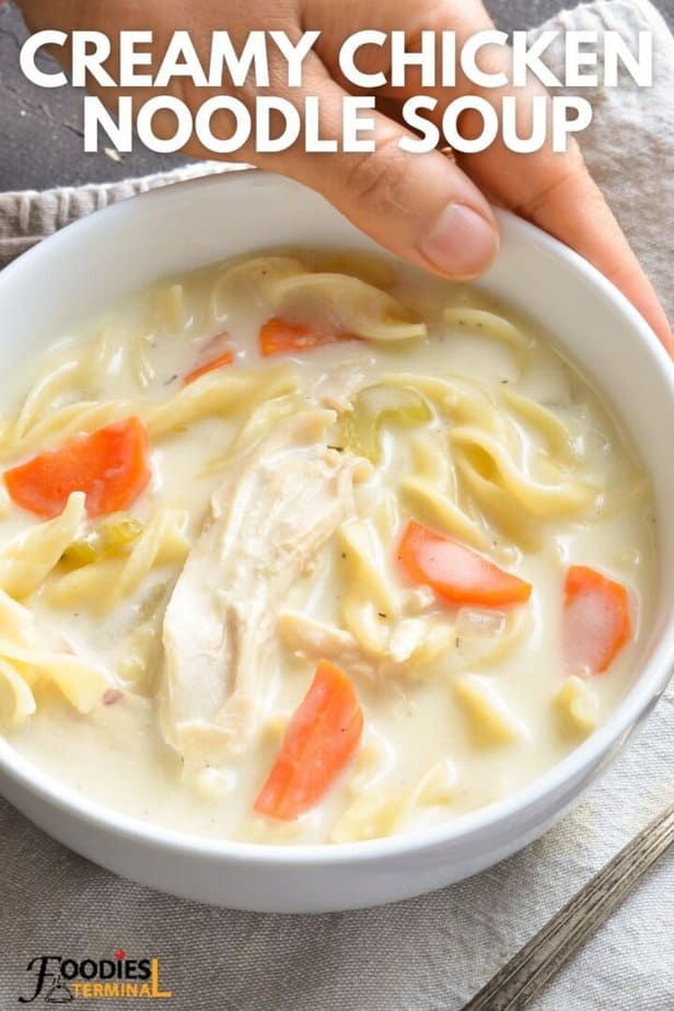 Instant Pot Creamy Chicken Noodle Soup » Foodies Terminal
