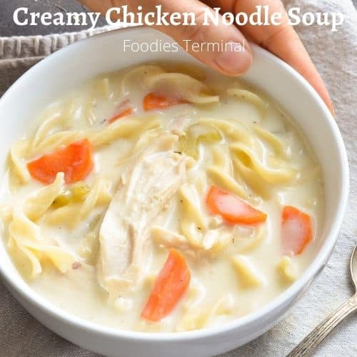 thick creamy chicken noodle soup instant pot recipe served in a white bowl