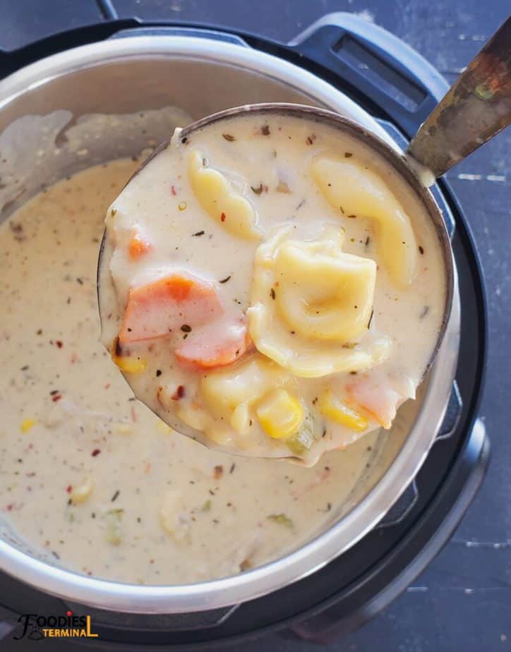 easy creamy chicken tortellini soup scooped in a ladle from the instant pot